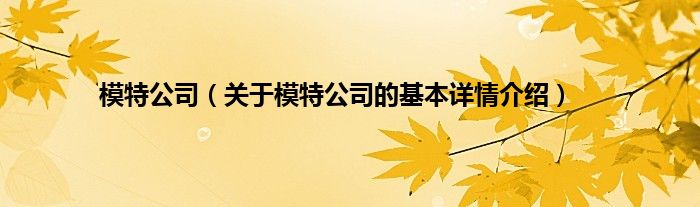 模特公司（关于模特公司的基本详情介绍）