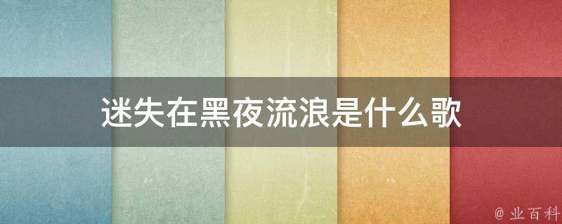 迷失在黑夜流浪是什么歌