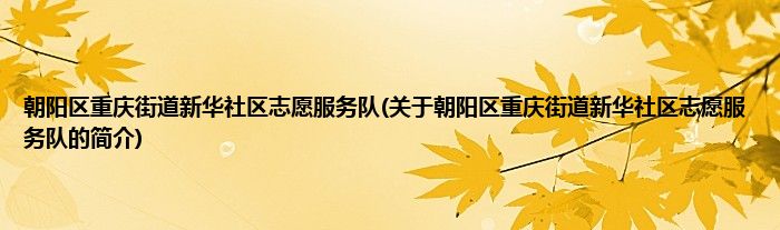 朝阳区重庆街道新华社区志愿服务队(关于朝阳区重庆街道新华社区志愿服务队的简介)
