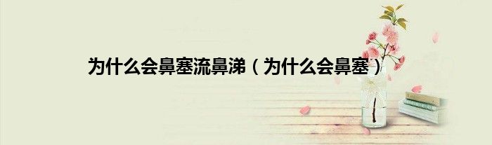 为什么会鼻塞流鼻涕（为什么会鼻塞）