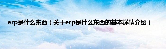 erp是什么东西(关于erp是什么东西的基本详情介绍)