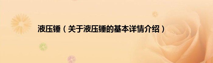液压锤（关于液压锤的基本详情介绍）