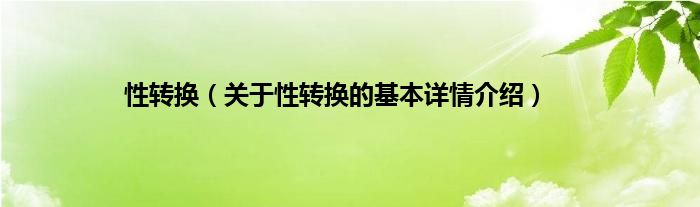 性转换（关于性转换的基本详情介绍）