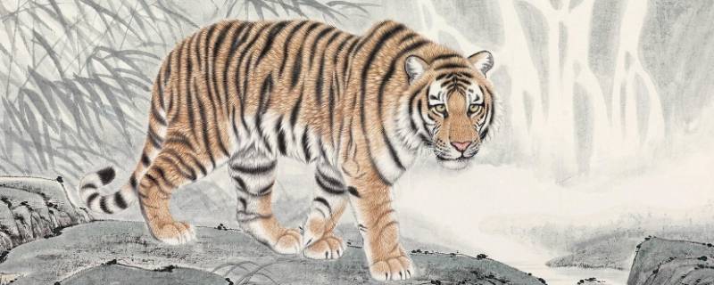 镇长打一生肖什么动物