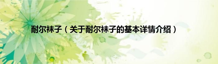 耐尔袜子（关于耐尔袜子的基本详情介绍）