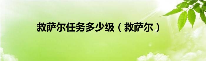 救萨尔任务多少级（救萨尔）