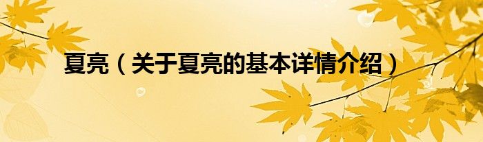夏亮（关于夏亮的基本详情介绍）