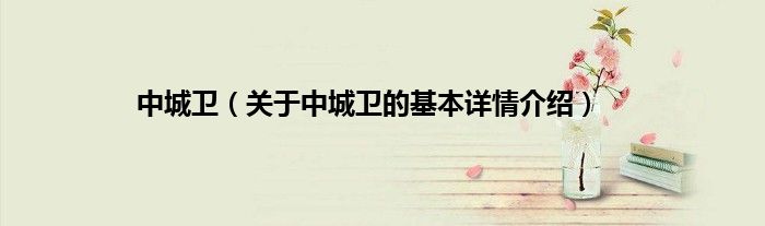 中城卫（关于中城卫的基本详情介绍）