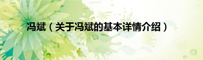冯斌（关于冯斌的基本详情介绍）