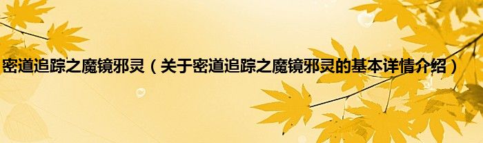 密道追踪之魔镜邪灵（关于密道追踪之魔镜邪灵的基本详情介绍）