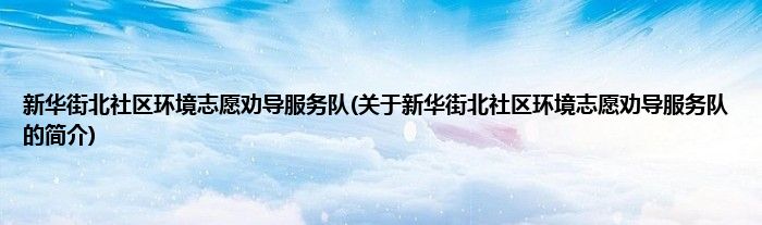 新华街北社区环境志愿劝导服务队(关于新华街北社区环境志愿劝导服务队的简介)