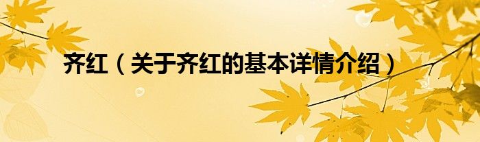 齐红（关于齐红的基本详情介绍）