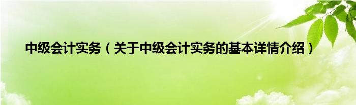中级会计实务（关于中级会计实务的基本详情介绍）