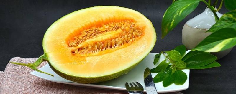 西州蜜瓜怎么挑选甜的