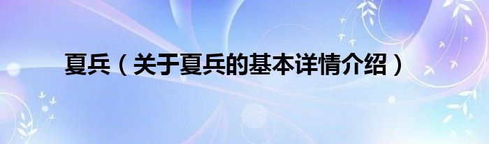 夏兵（关于夏兵的基本详情介绍）