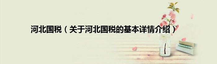 河北国税（关于河北国税的基本详情介绍）