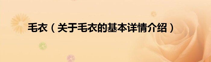 毛衣（关于毛衣的基本详情介绍）