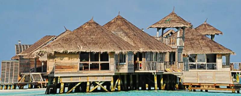 无猫之国是哪个国家