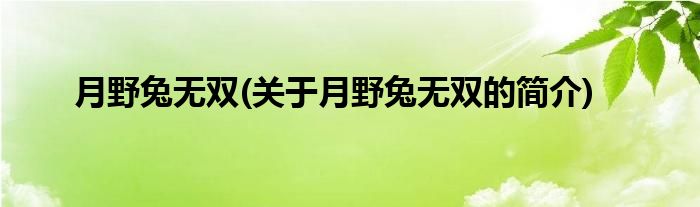 月野兔无双(关于月野兔无双的简介)
