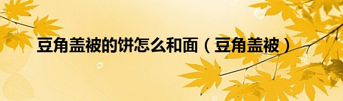 豆角盖被的饼怎么和面（豆角盖被）