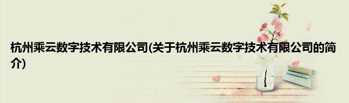 杭州乘云数字技术有限公司(关于杭州乘云数字技术有限公司的简介)