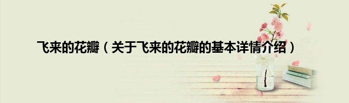 飞来的花瓣（关于飞来的花瓣的基本详情介绍）