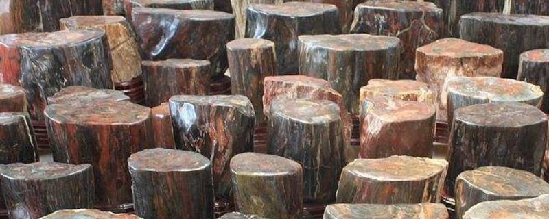 硅化木是单晶体还是多晶体