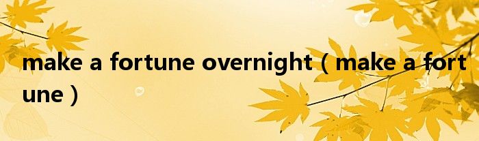 make a fortune overnight（make a fortune）
