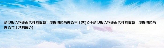 新型聚合物表面活性剂絮凝--浮选细粒的理论与工艺(关于新型聚合物表面活性剂絮凝--浮选细粒的理论与工艺的简介)