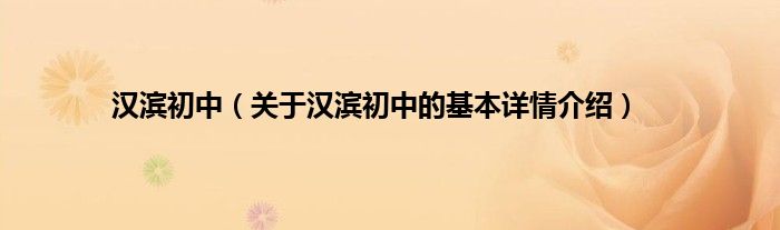 汉滨初中(关于汉滨初中的基本详情介绍)