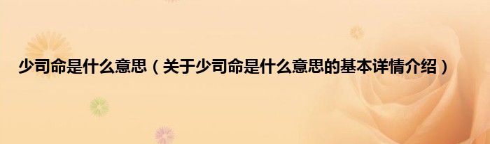 少司命是什么意思（关于少司命是什么意思的基本详情介绍）