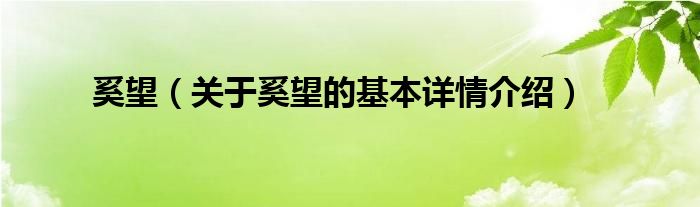 奚望（关于奚望的基本详情介绍）