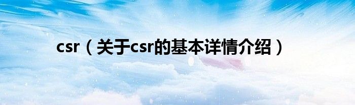 csr（关于csr的基本详情介绍）