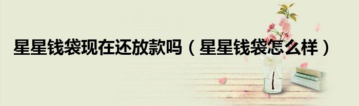 星星钱袋现在还放款吗（星星钱袋怎么样）