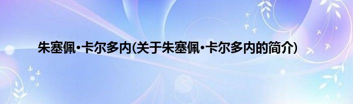 朱塞佩·卡尔多内(关于朱塞佩·卡尔多内的简介)