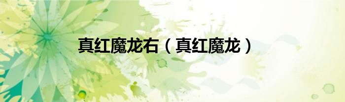 真红魔龙右（真红魔龙）
