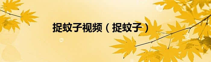捉蚊子视频（捉蚊子）