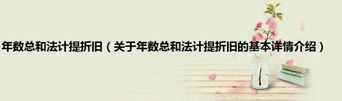 年数总和法计提折旧（关于年数总和法计提折旧的基本详情介绍）