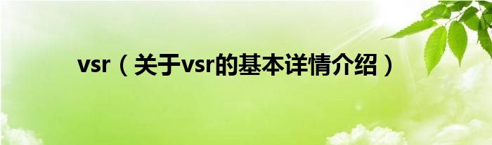 vsr（关于vsr的基本详情介绍）