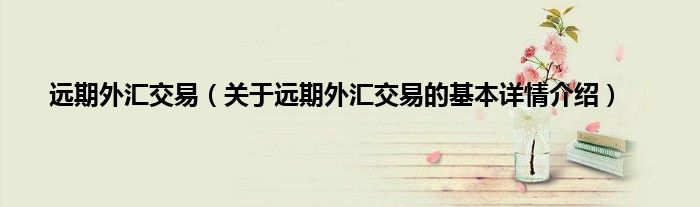 远期外汇交易（关于远期外汇交易的基本详情介绍）