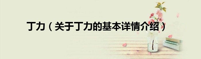 丁力(关于丁力的基本详情介绍)