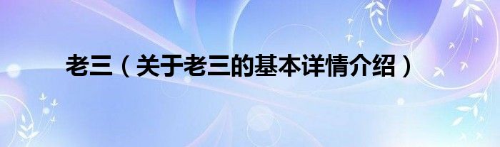 老三（关于老三的基本详情介绍）
