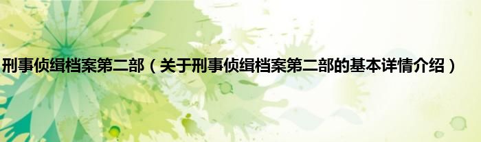 刑事侦缉档案第二部(关于刑事侦缉档案第二部的基本详情介绍)