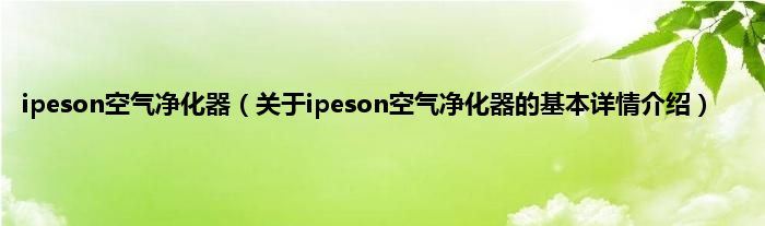 ipeson空气净化器（关于ipeson空气净化器的基本详情介绍）