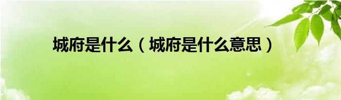 城府是什么（城府是什么意思）