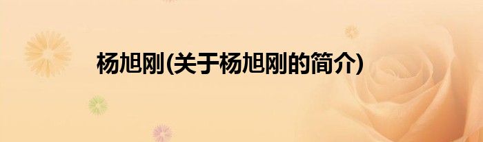 杨旭刚(关于杨旭刚的简介)