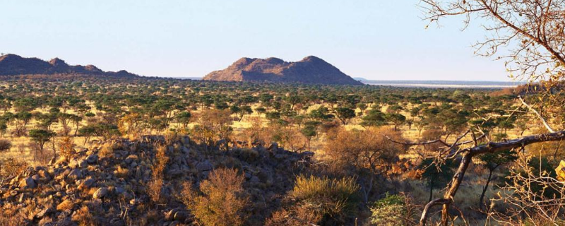 卡巴里亚在非洲什么地方