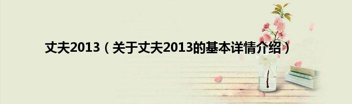 丈夫2013(关于丈夫2013的基本详情介绍)
