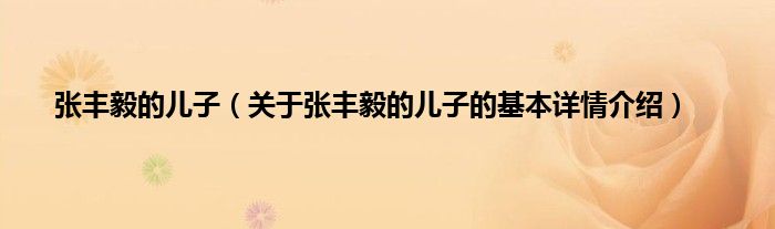 张丰毅的儿子（关于张丰毅的儿子的基本详情介绍）