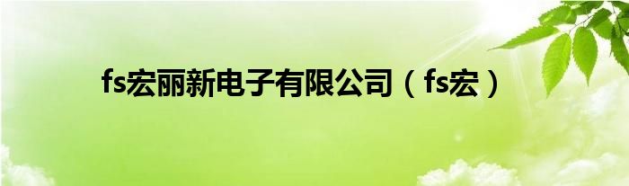 fs宏丽新电子有限公司（fs宏）